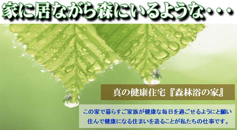 �Q�n���@�����Z���� ���N�Z��@�A�C�G�X�z�[�� 